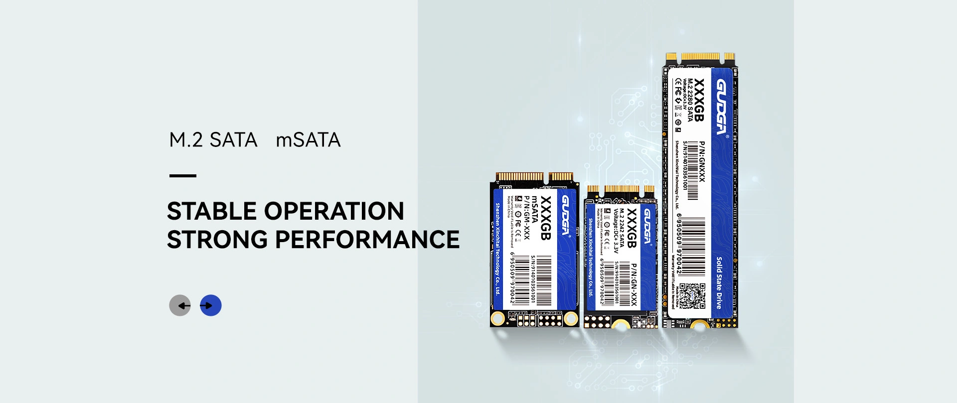 الصين الخصم M.2 SATA SSD الصانع