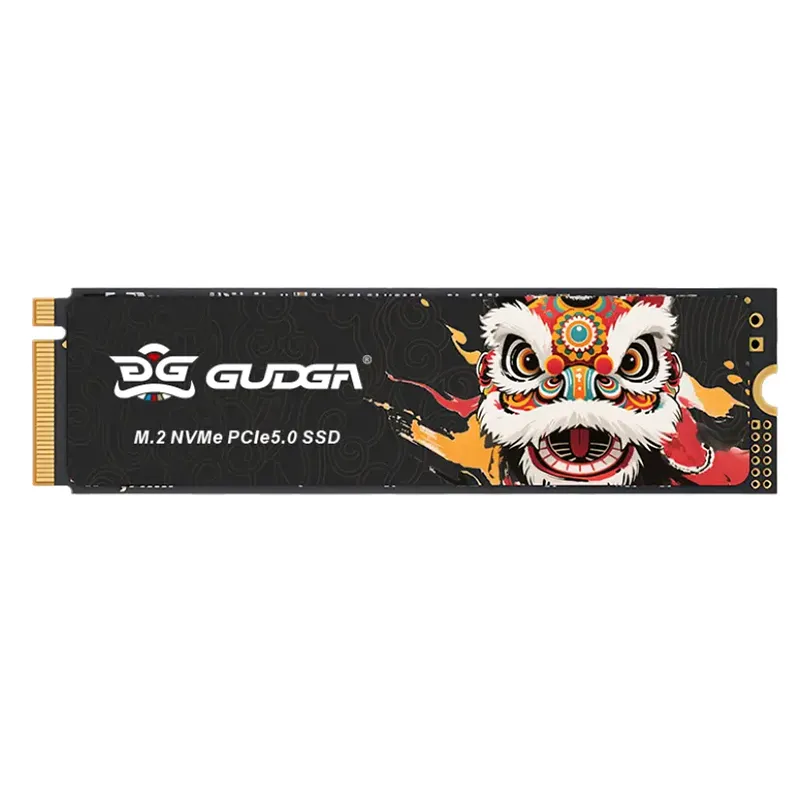 محرك أقراص SSD داخلي عالي السرعة NVME PICE 5.0 14500/10000